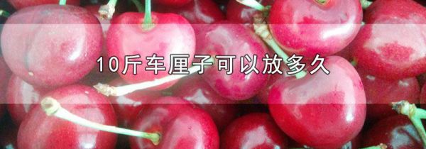 10斤车厘子可以放多久