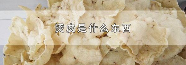 烫皮是什么东西