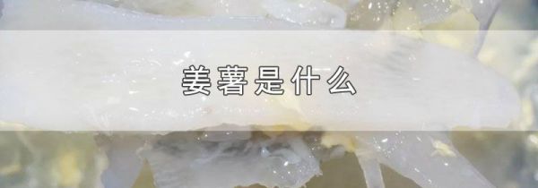 姜薯是什么