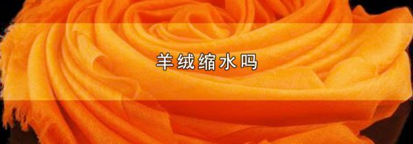 羊绒缩水吗