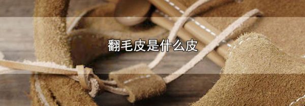 翻毛皮是什么皮