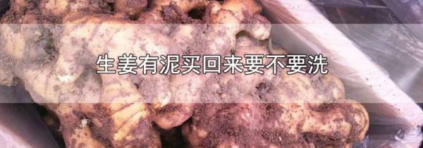 生姜有泥买回来要不要洗