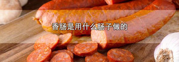 香肠是用什么肠子做的