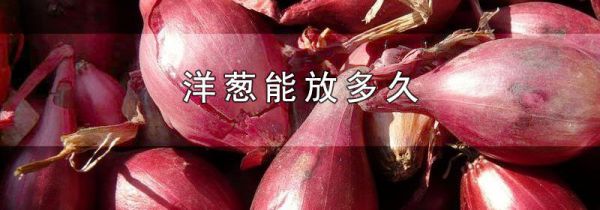 洋葱能放多久