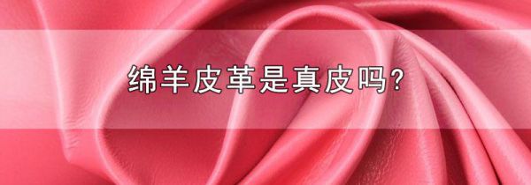 绵羊皮革是真皮吗?