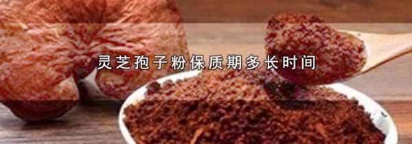 灵芝孢子粉保质期多长时间