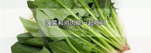 菠菜和鸡肉能一起吃吗