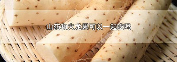 山药和火龙果可以一起吃吗