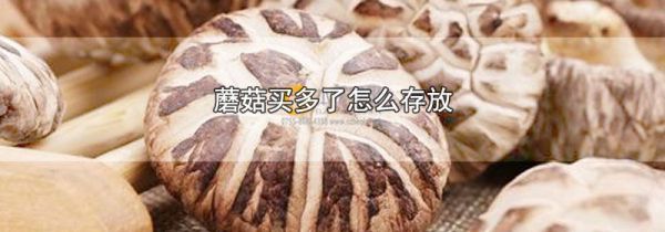 蘑菇买多了怎么存放