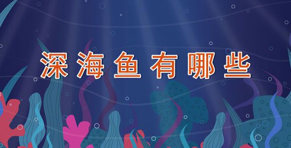 深海鱼有哪些