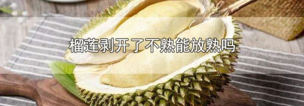 榴莲剥开了不熟能放熟吗