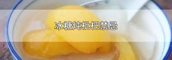 冰糖炖枇杷禁忌
