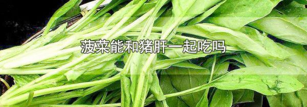 菠菜能和猪肝一起吃吗