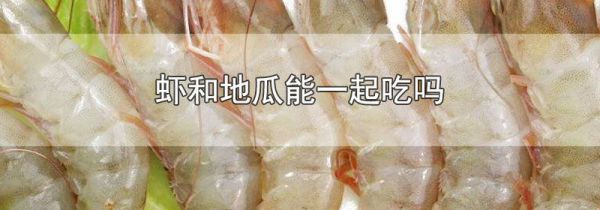 虾和地瓜能一起吃吗