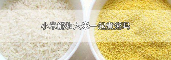 小米能和大米一起煮粥吗