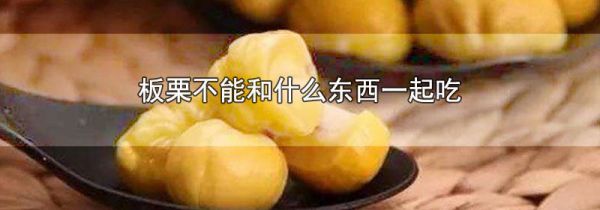 板栗不能和什么东西一起吃