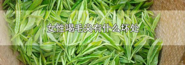 女性喝毛尖有什么坏处