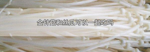 金针菇和丝瓜可以一起吃吗