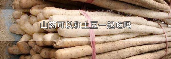 山药可以和土豆一起吃吗