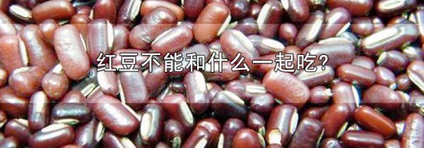 红豆不能和什么一起吃?