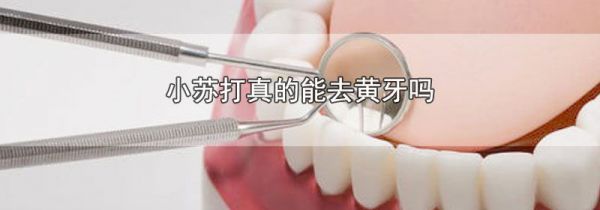小苏打真的能去黄牙吗