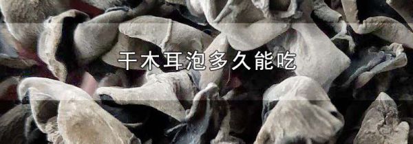 干木耳泡多久能吃