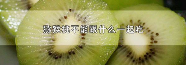 猕猴桃不能跟什么一起吃