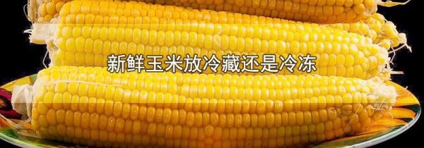 新鲜玉米放冷藏还是冷冻