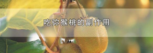 吃弥猴桃的副作用