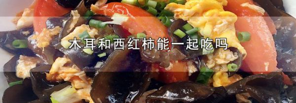 木耳和西红柿能一起吃吗