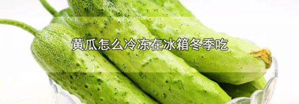 黄瓜怎么冷冻在冰箱冬季吃