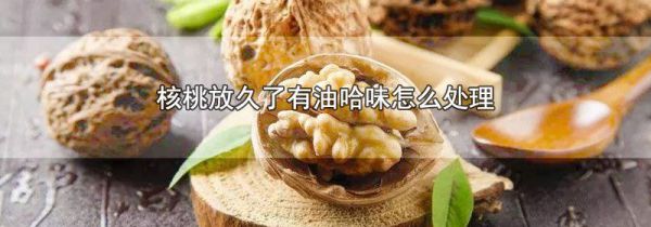 核桃放久了有油哈味怎么处理