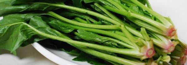 菠菜汁怎么榨汁