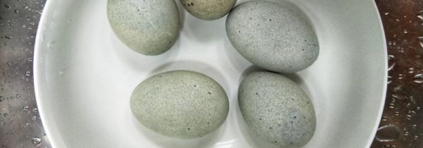 皮蛋可以放冰箱冷藏吗