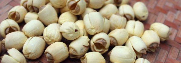 干莲子夏季怎么保存