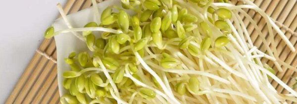 内裤上的黑点点怎么去除