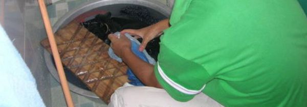 怎么正确用皂粉洗衣服