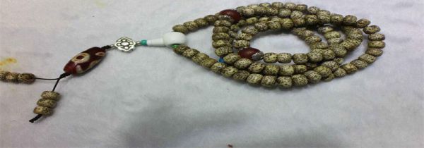 星月菩提泡水怎么补救