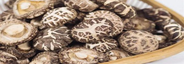 干香菇泡多久合适