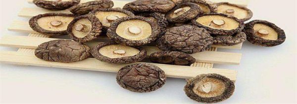 干香菇能保存多久