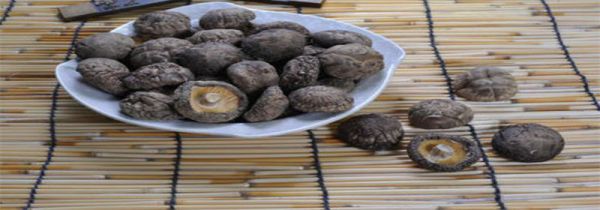 干香菇保质期多长时间