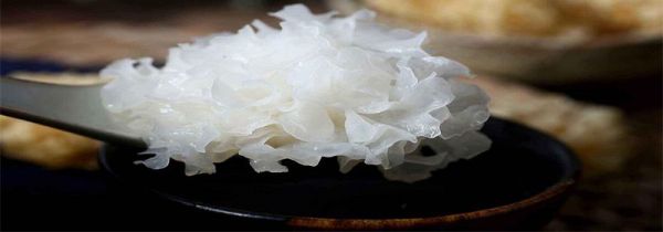 木耳泡10小时还能吃不