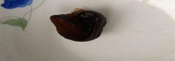 煮熟的隔夜木耳有毒吗