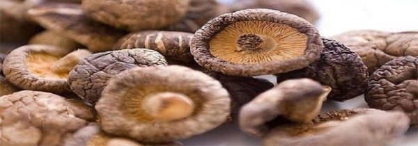 香菇泡多久就不能吃了