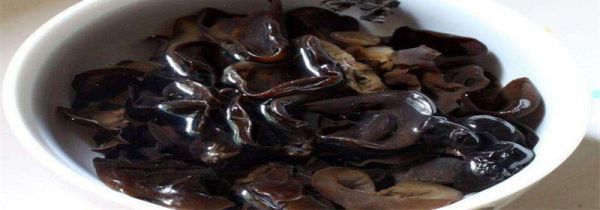 木耳泡了一夜还能吃吗