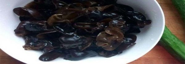 炒熟的木耳能放多久