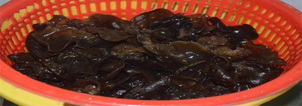 木耳不能和什么同吃