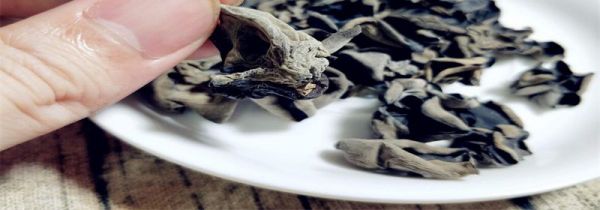 木耳泡发2一3天能吃吗