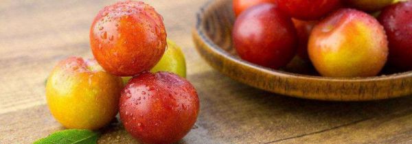 李子不能和什么一起吃吗