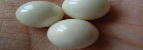 舍利子是什么东西